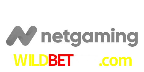 NetGaming